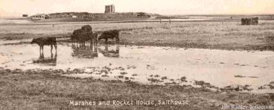 a view across the marsh , cows grazing and Great Eye on the sky-line with the Rocket House a silhouette