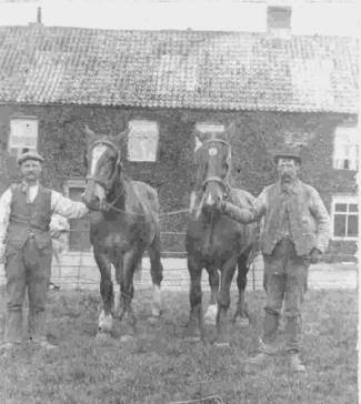 Tom Woodhouse and Jakey Matthews teamsmen at the Hall Farm early 1900s