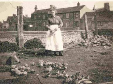 Bessie Woodhouse and her ducklings