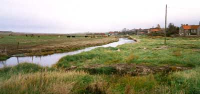 The Old Bakery (right of picture) and the marsh